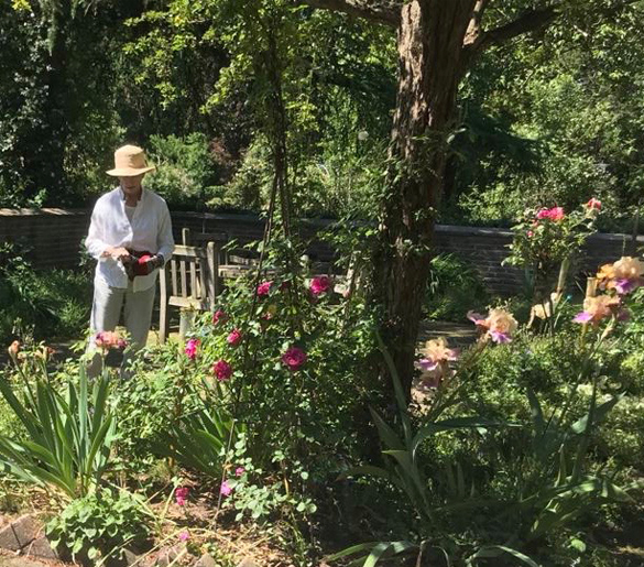 Roswitha Reuling - Atelier im Rosengarten